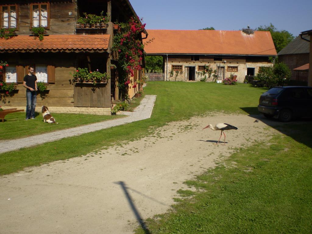 Apartments Iza Na Trem Čigoč Екстериор снимка