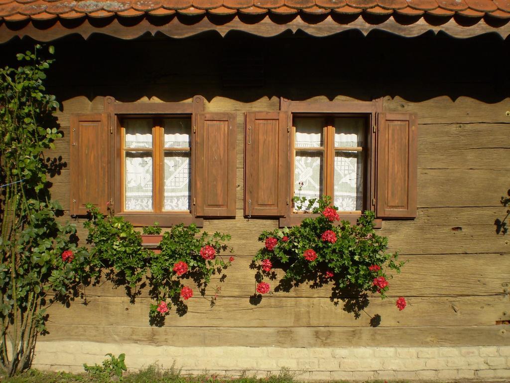 Apartments Iza Na Trem Čigoč Екстериор снимка